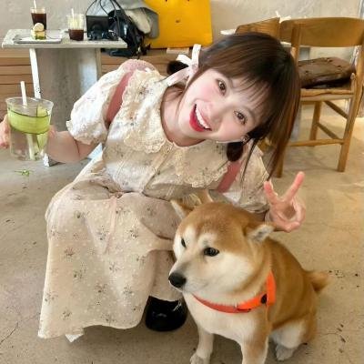 歌声欢唱的树